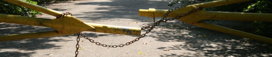 To Blog or Not to&nbsp;Blog