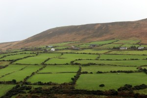dingle_blog1