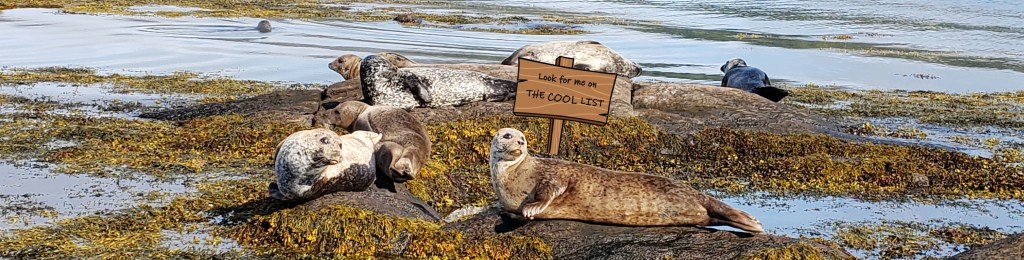 An Irish Weird List 2018