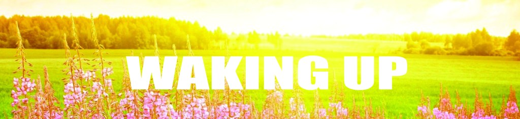 Waking Up