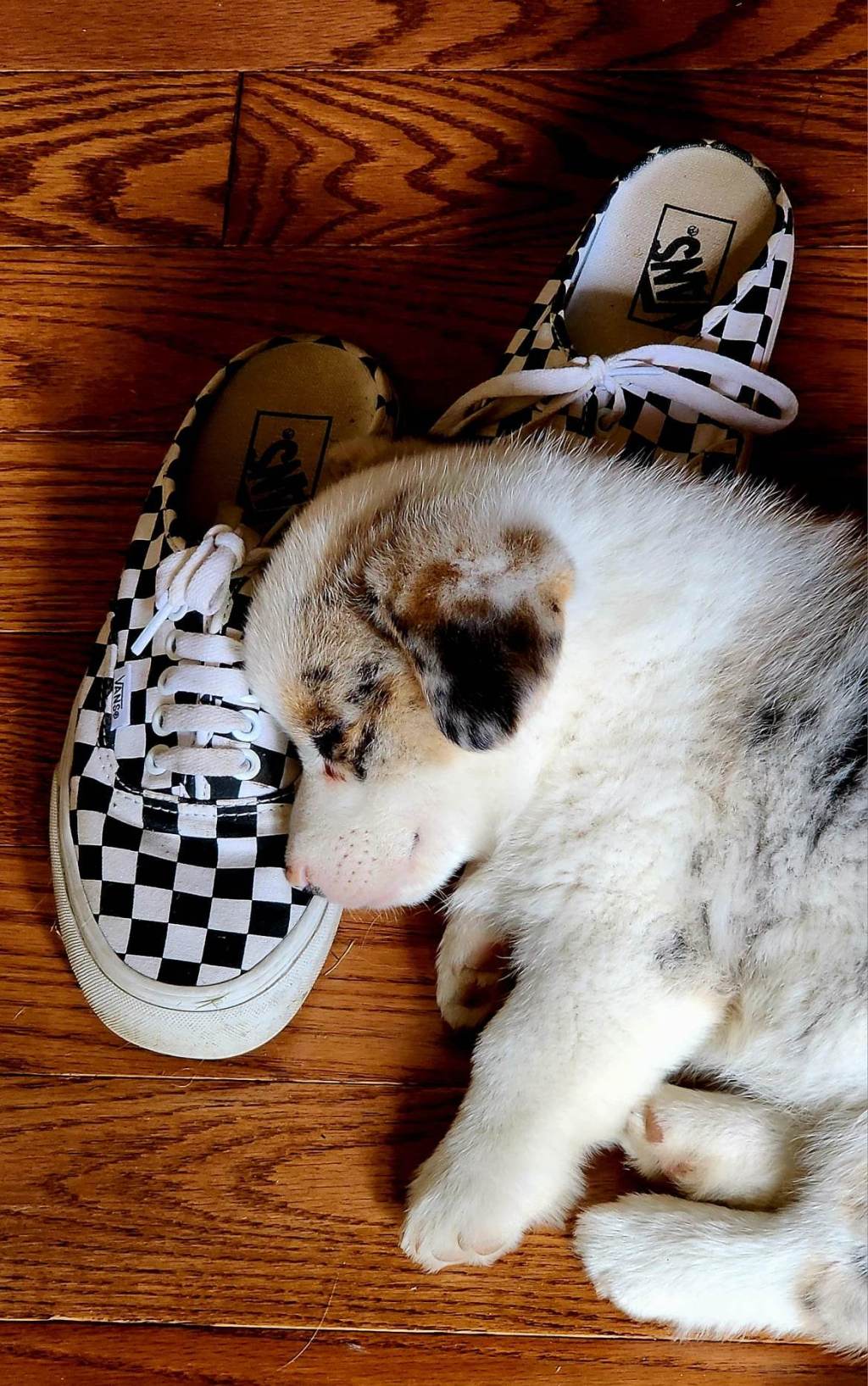 And then there were&nbsp;three…