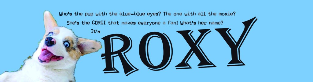 Forgive my Indulgence